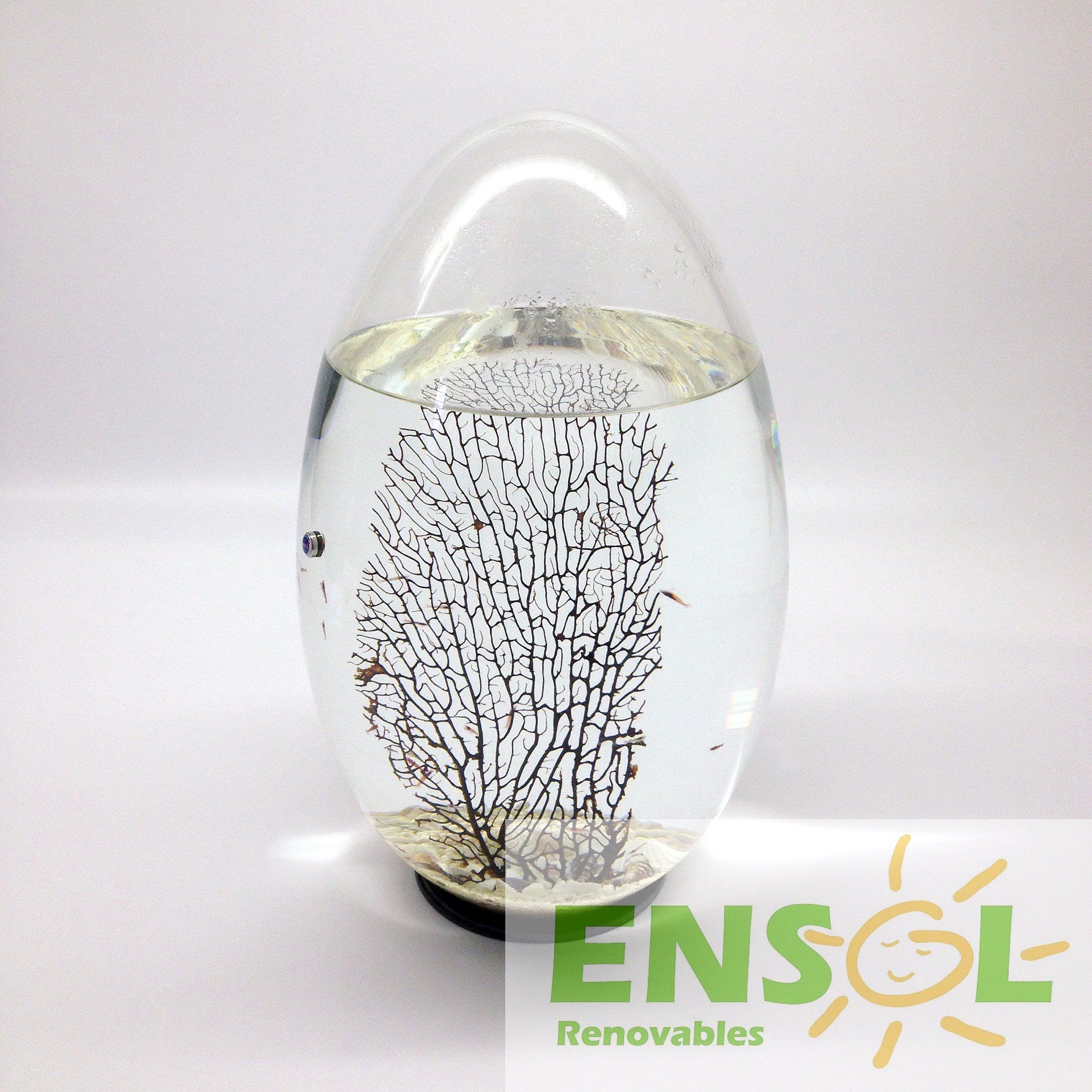 EcoSphere Pod with Self-Sustaining Sea Ecosystem