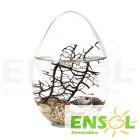 Ecosfera Mediana Ovalada