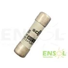20 Amp C-20 Ceramic Fuse Ensol