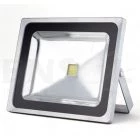 Ayerbe 50W LED Floodlight