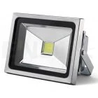 Foco LED Ayerbe 20W