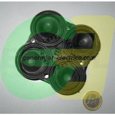 Flopower FL1712 and 1724 original Valve Assembly