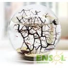 Extra Big Size Round Ecosphere