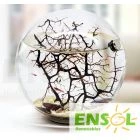 Giant Size Round Ecosphere