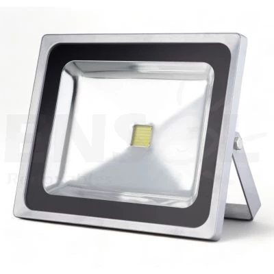 Ayerbe 50W LED Floodlight