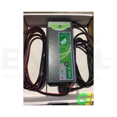 12/24V (Bitensión) Cargador de baterias por etapas 30A